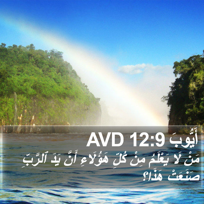 أَيُّوبَ 12:9 AVD Bible Study