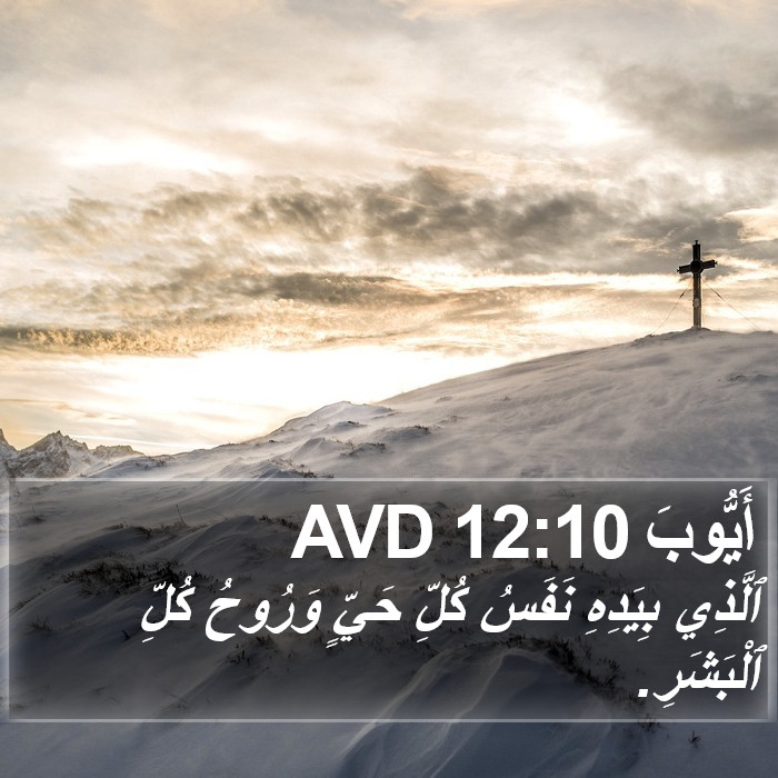 أَيُّوبَ 12:10 AVD Bible Study