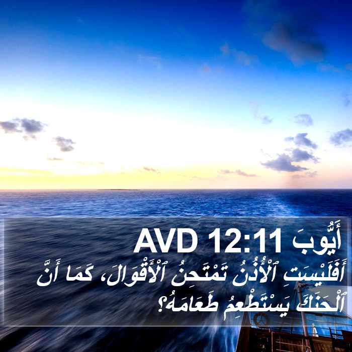أَيُّوبَ 12:11 AVD Bible Study