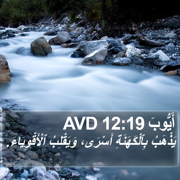 أَيُّوبَ 12:19 AVD Bible Study
