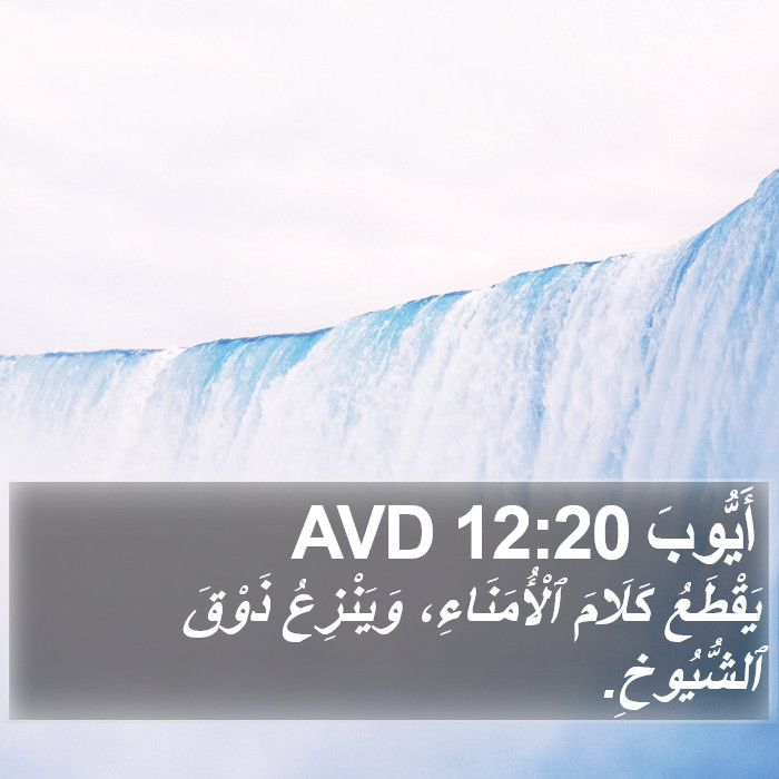 أَيُّوبَ 12:20 AVD Bible Study