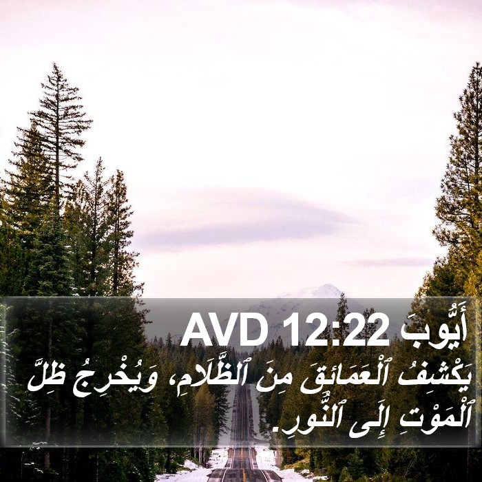 أَيُّوبَ 12:22 AVD Bible Study