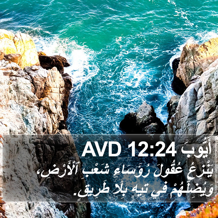 أَيُّوبَ 12:24 AVD Bible Study