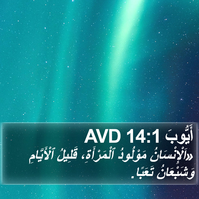 أَيُّوبَ 14:1 AVD Bible Study