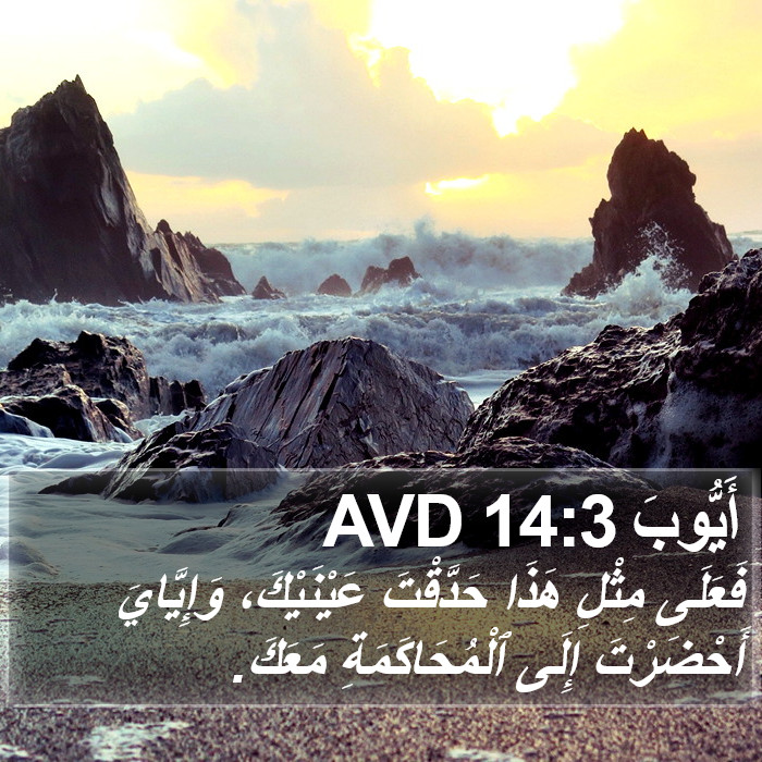 أَيُّوبَ 14:3 AVD Bible Study