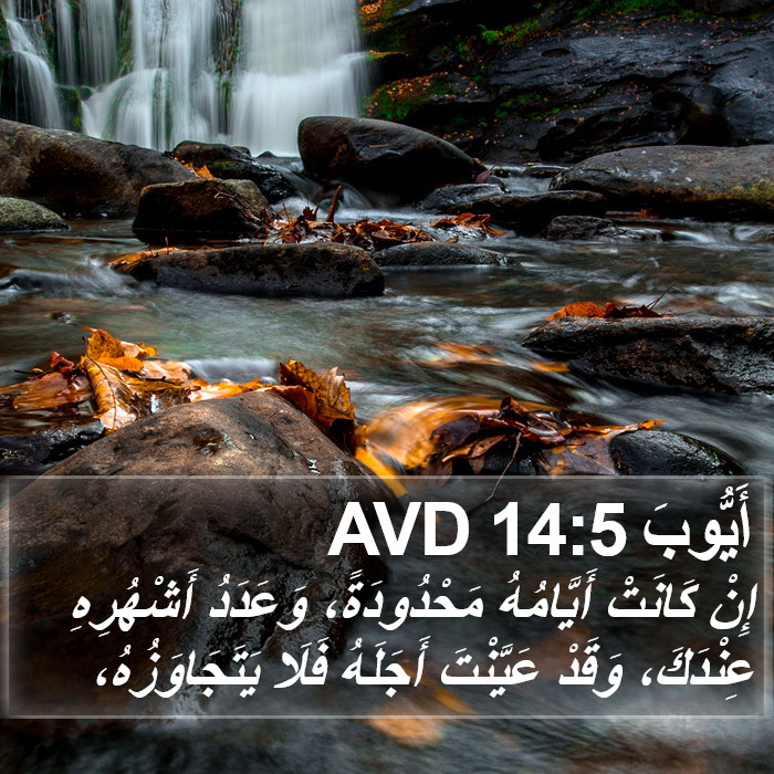 أَيُّوبَ 14:5 AVD Bible Study