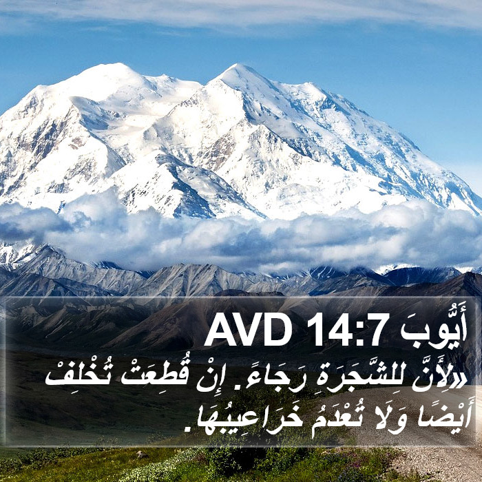 أَيُّوبَ 14:7 AVD Bible Study