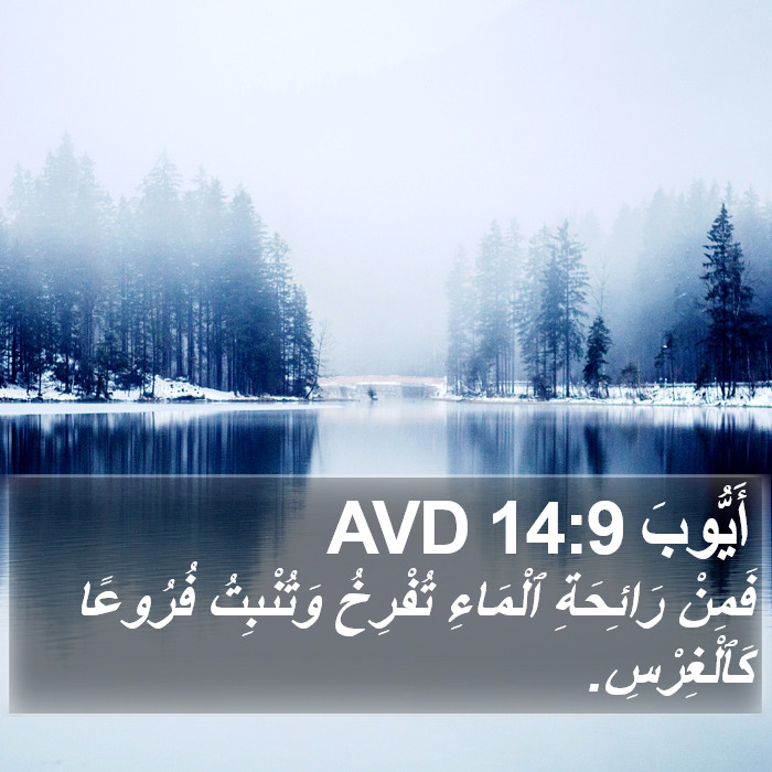 أَيُّوبَ 14:9 AVD Bible Study