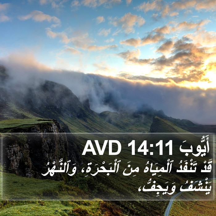 أَيُّوبَ 14:11 AVD Bible Study