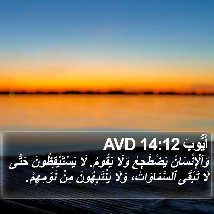 أَيُّوبَ 14:12 AVD Bible Study