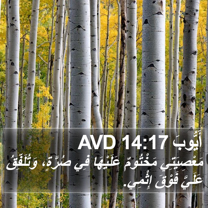 أَيُّوبَ 14:17 AVD Bible Study