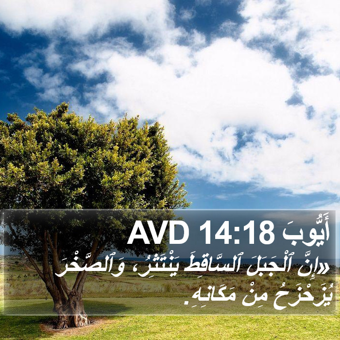 أَيُّوبَ 14:18 AVD Bible Study