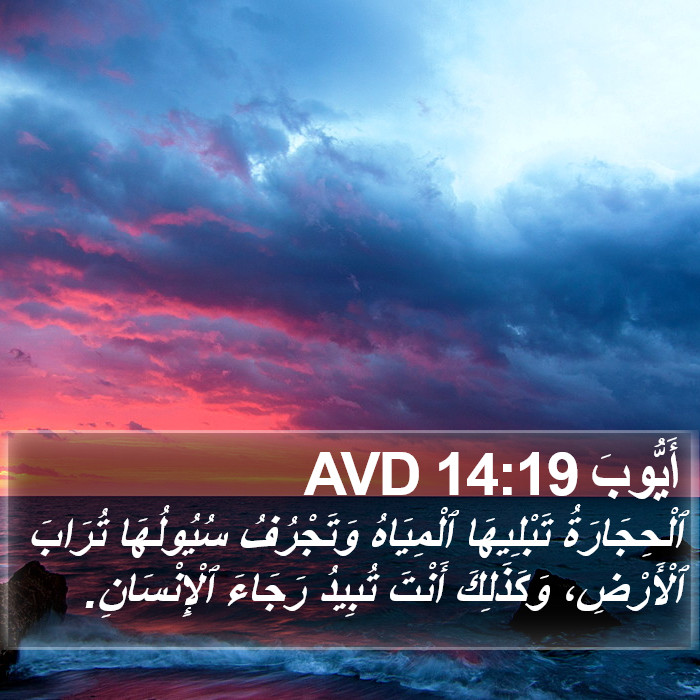 أَيُّوبَ 14:19 AVD Bible Study