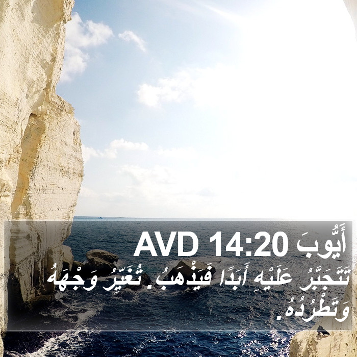 أَيُّوبَ 14:20 AVD Bible Study