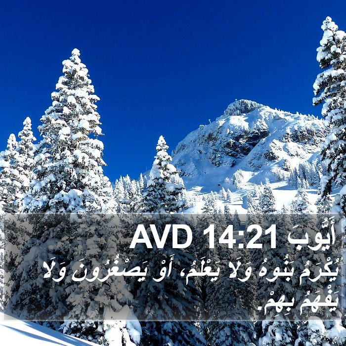 أَيُّوبَ 14:21 AVD Bible Study