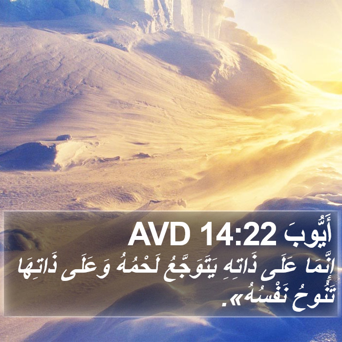 أَيُّوبَ 14:22 AVD Bible Study