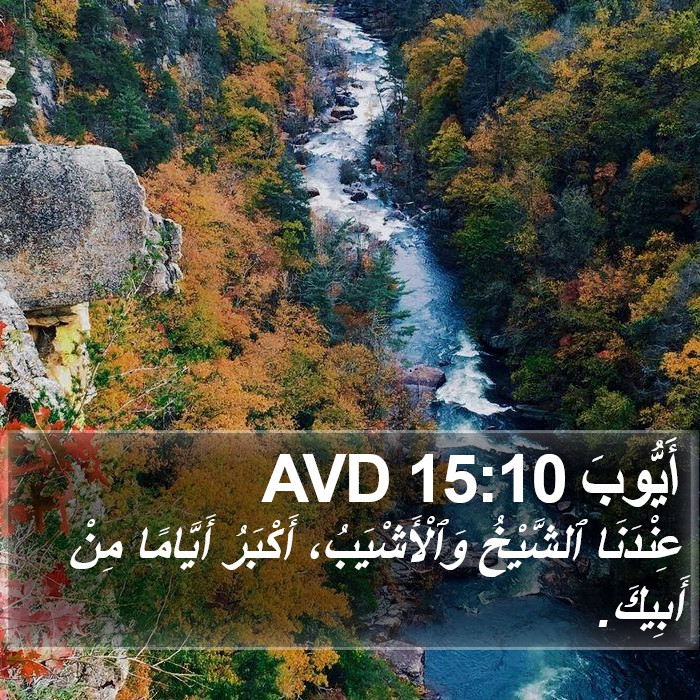 أَيُّوبَ 15:10 AVD Bible Study