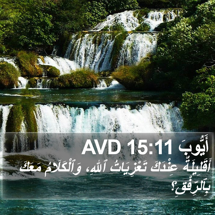 أَيُّوبَ 15:11 AVD Bible Study