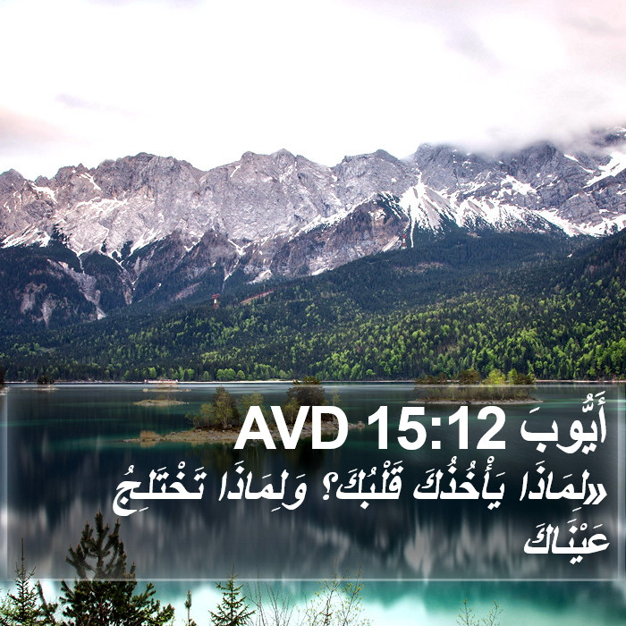أَيُّوبَ 15:12 AVD Bible Study
