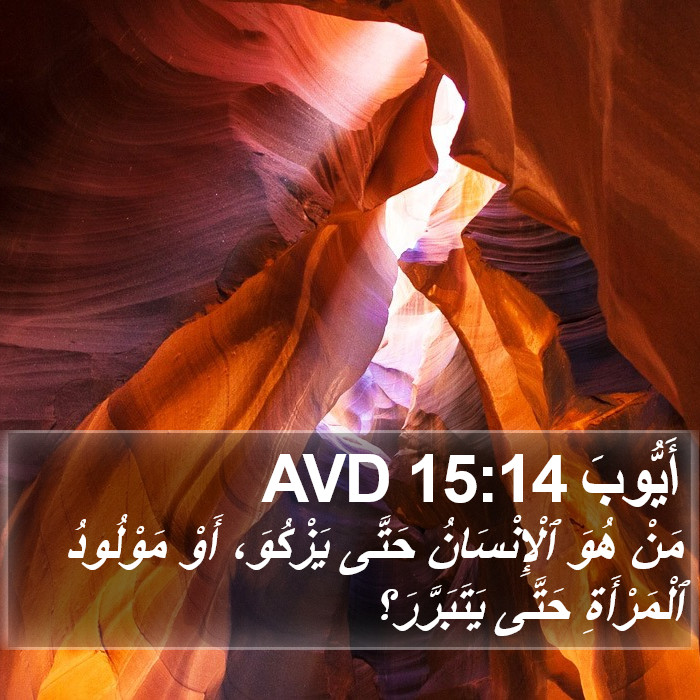 أَيُّوبَ 15:14 AVD Bible Study