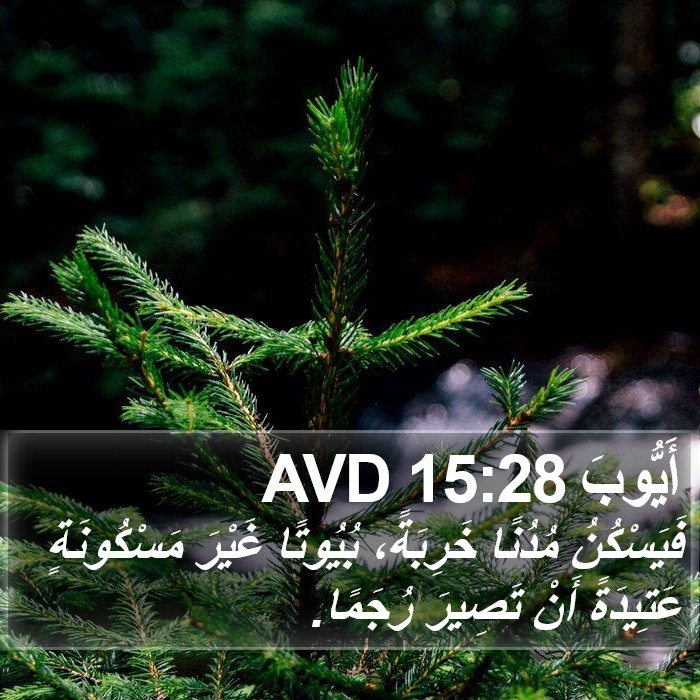 أَيُّوبَ 15:28 AVD Bible Study