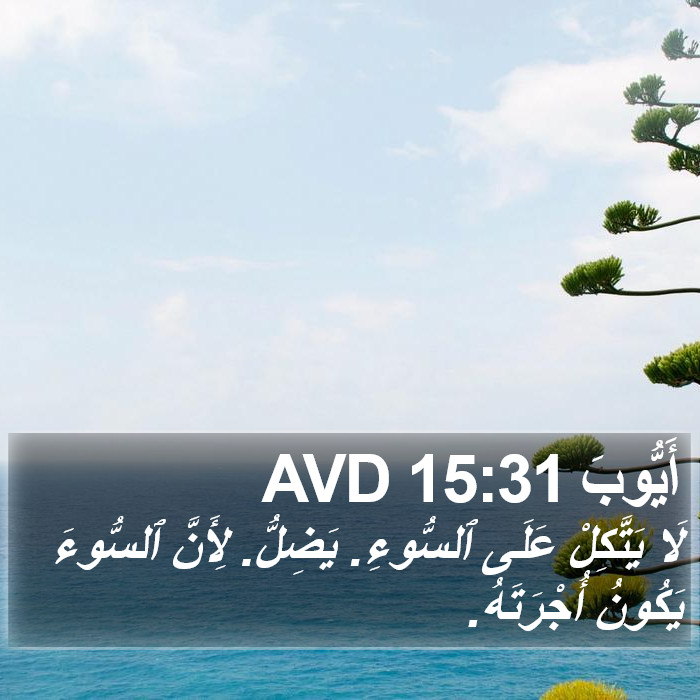أَيُّوبَ 15:31 AVD Bible Study