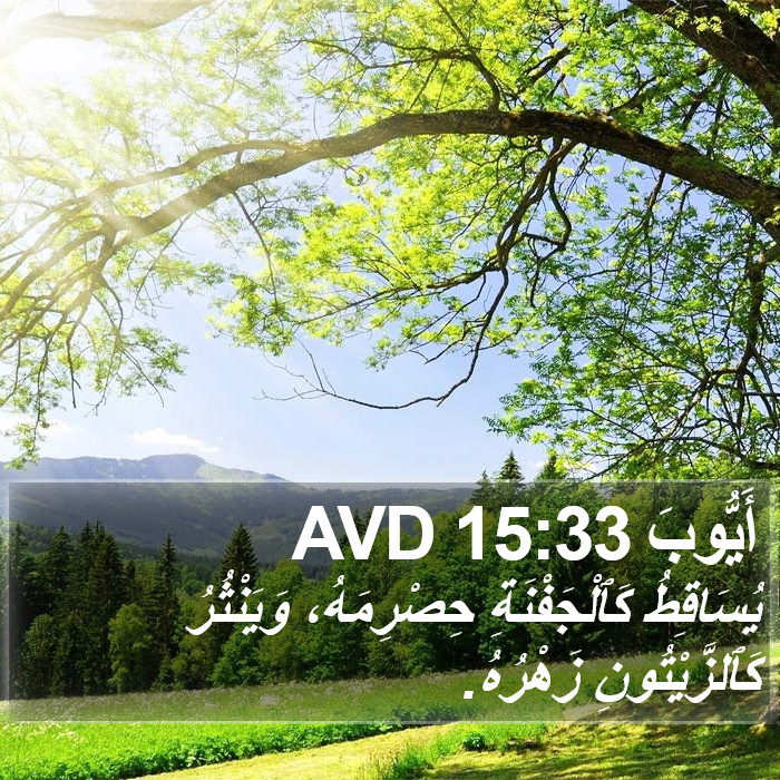 أَيُّوبَ 15:33 AVD Bible Study