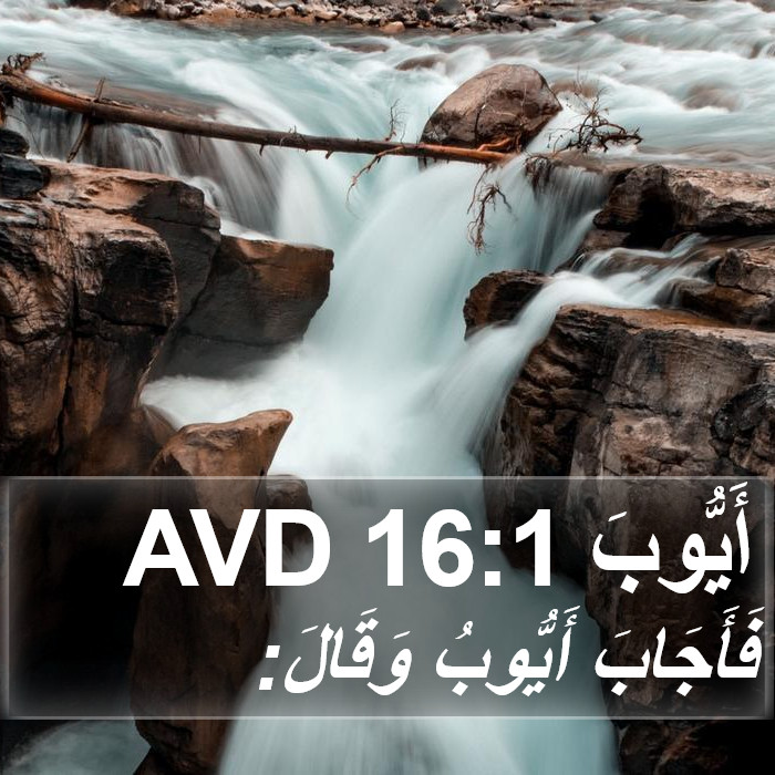 أَيُّوبَ 16:1 AVD Bible Study