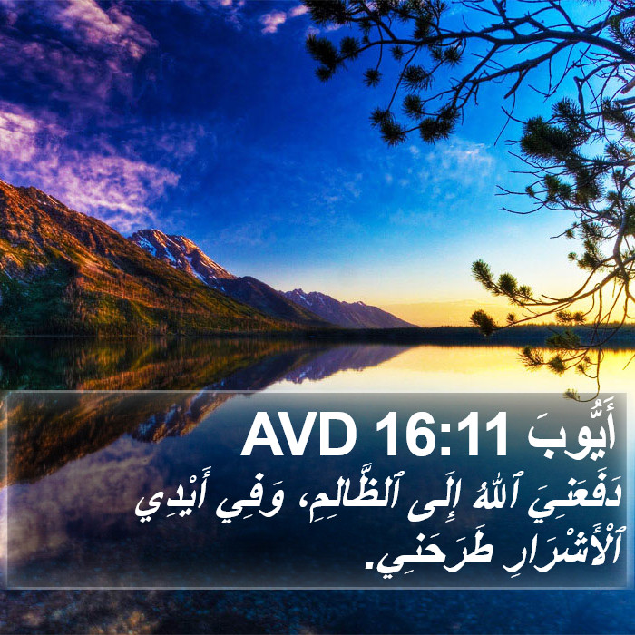 أَيُّوبَ 16:11 AVD Bible Study