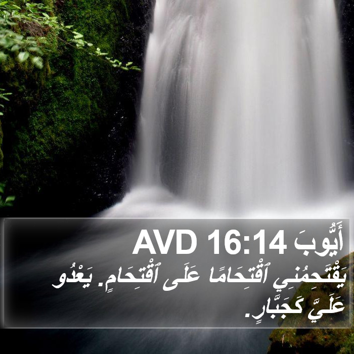 أَيُّوبَ 16:14 AVD Bible Study