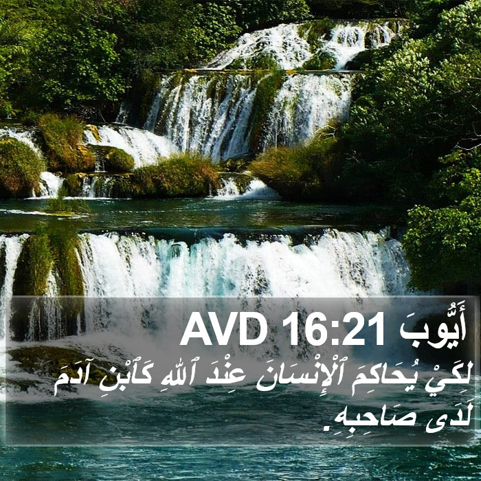 أَيُّوبَ 16:21 AVD Bible Study
