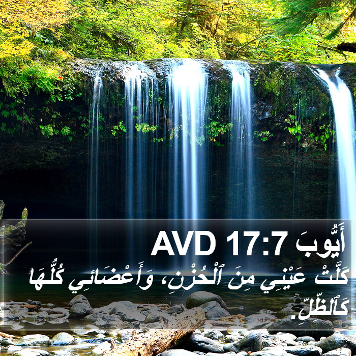 أَيُّوبَ 17:7 AVD Bible Study