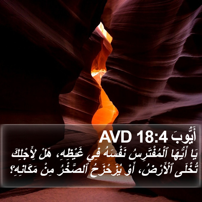 أَيُّوبَ 18:4 AVD Bible Study