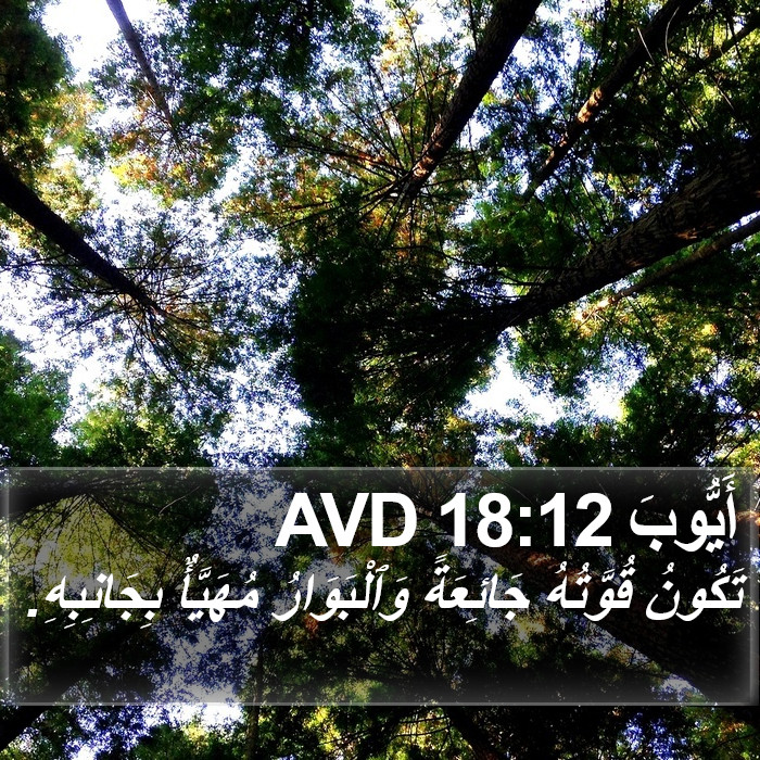 أَيُّوبَ 18:12 AVD Bible Study