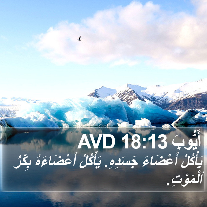 أَيُّوبَ 18:13 AVD Bible Study