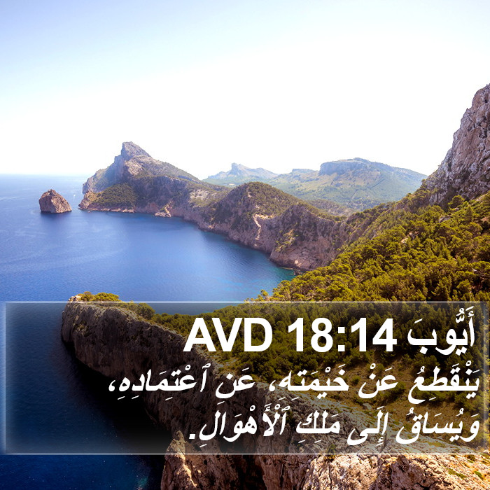 أَيُّوبَ 18:14 AVD Bible Study