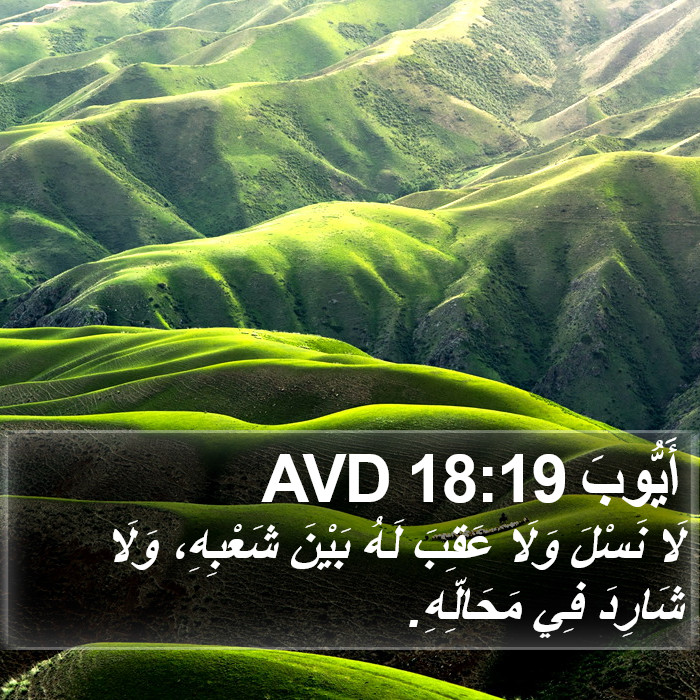 أَيُّوبَ 18:19 AVD Bible Study