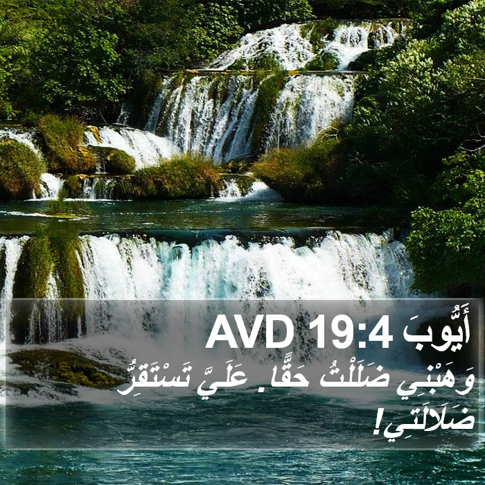 أَيُّوبَ 19:4 AVD Bible Study