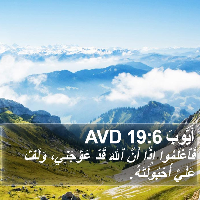 أَيُّوبَ 19:6 AVD Bible Study