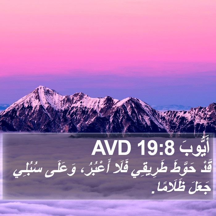 أَيُّوبَ 19:8 AVD Bible Study