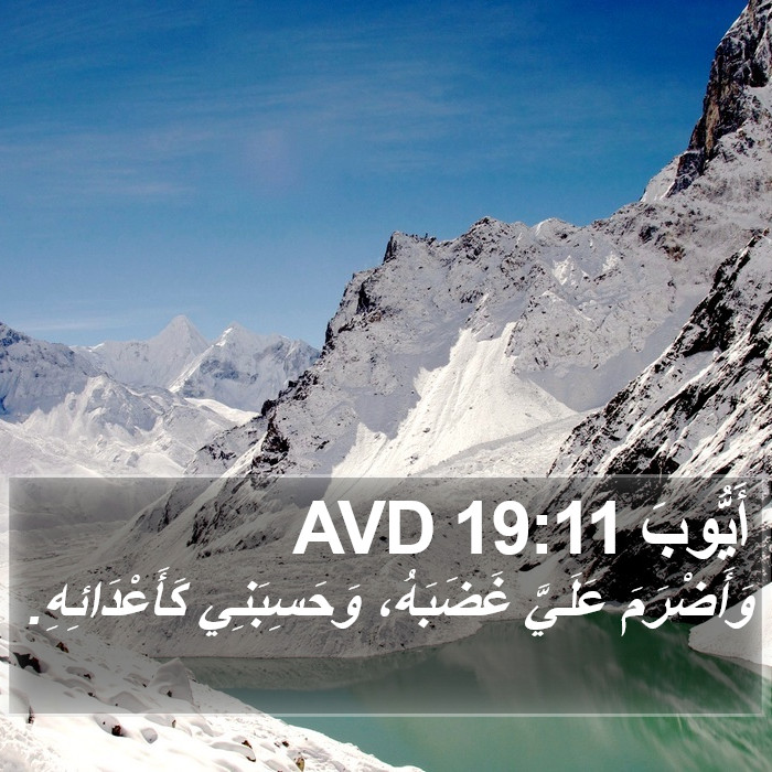 أَيُّوبَ 19:11 AVD Bible Study