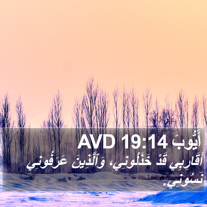 أَيُّوبَ 19:14 AVD Bible Study