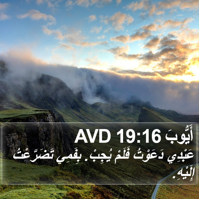 أَيُّوبَ 19:16 AVD Bible Study