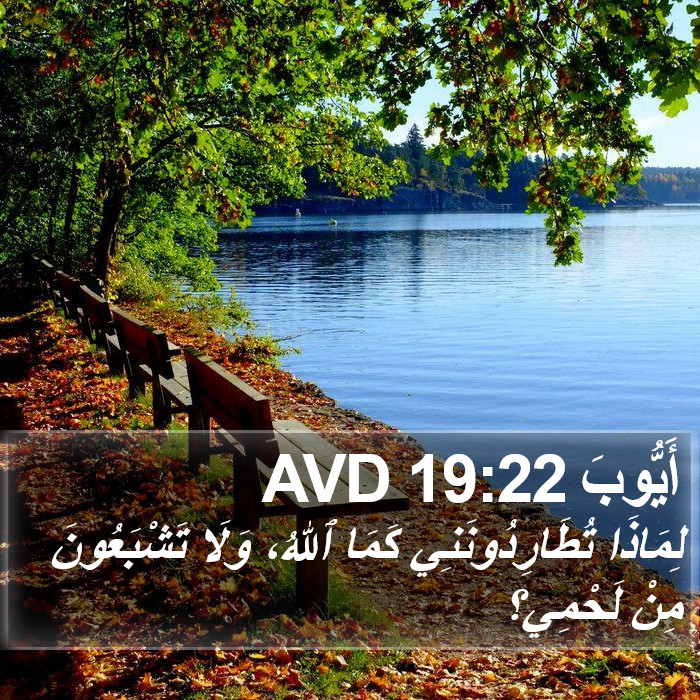 أَيُّوبَ 19:22 AVD Bible Study