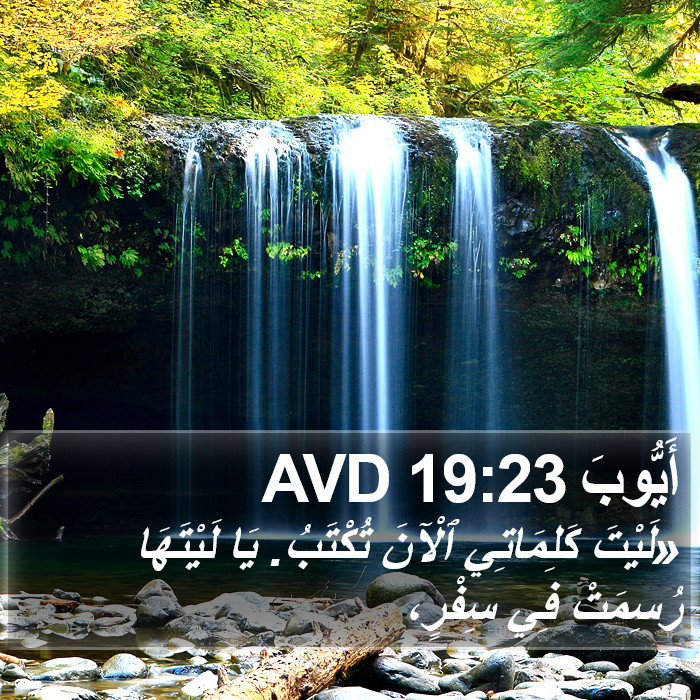 أَيُّوبَ 19:23 AVD Bible Study
