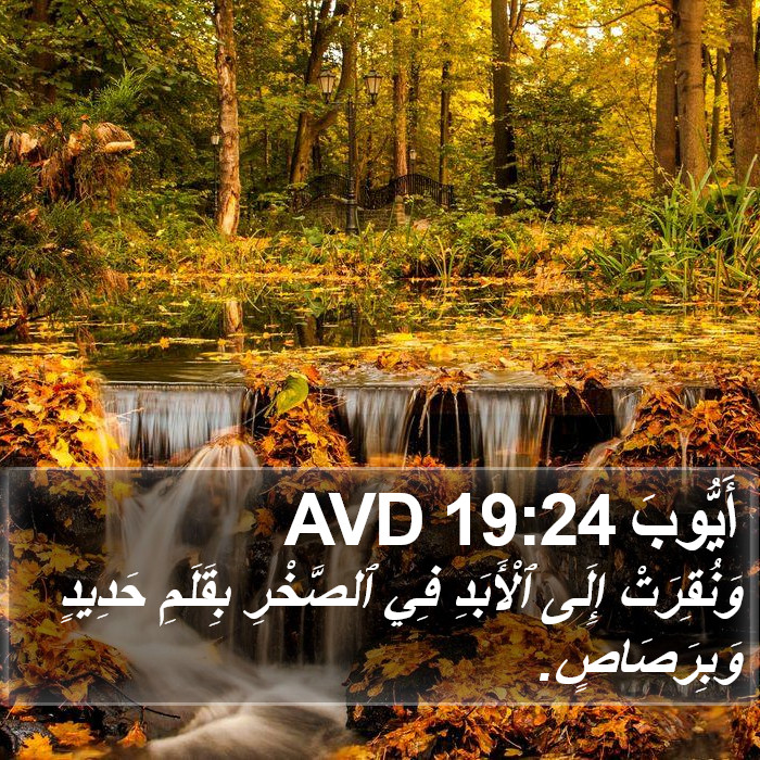 أَيُّوبَ 19:24 AVD Bible Study