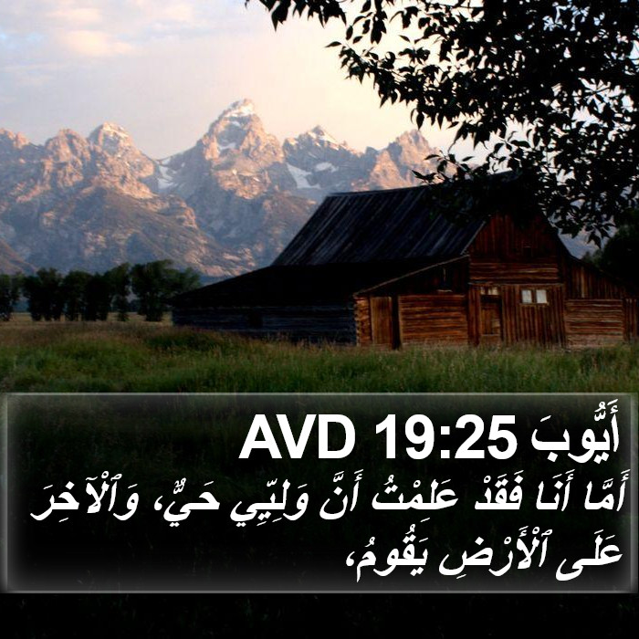 أَيُّوبَ 19:25 AVD Bible Study