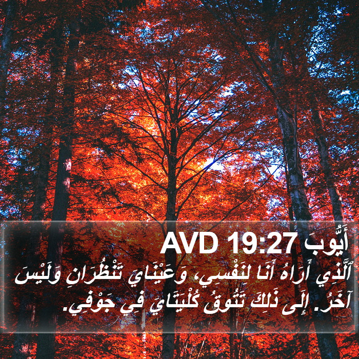 أَيُّوبَ 19:27 AVD Bible Study