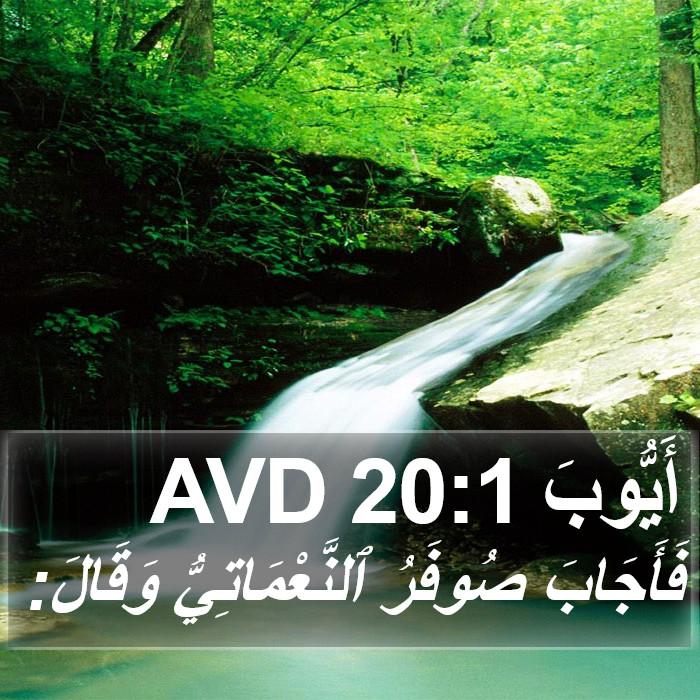 أَيُّوبَ 20:1 AVD Bible Study