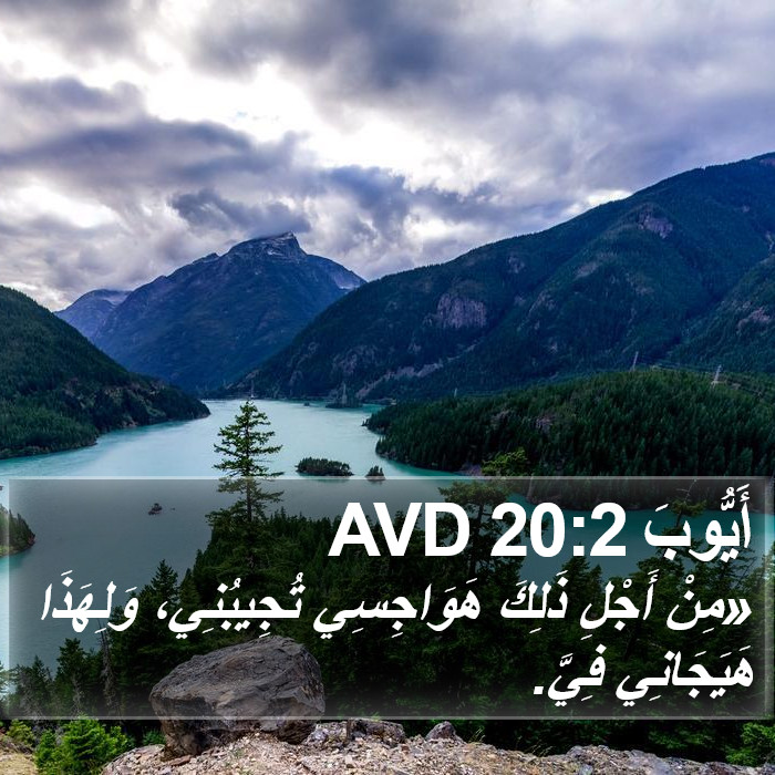 أَيُّوبَ 20:2 AVD Bible Study